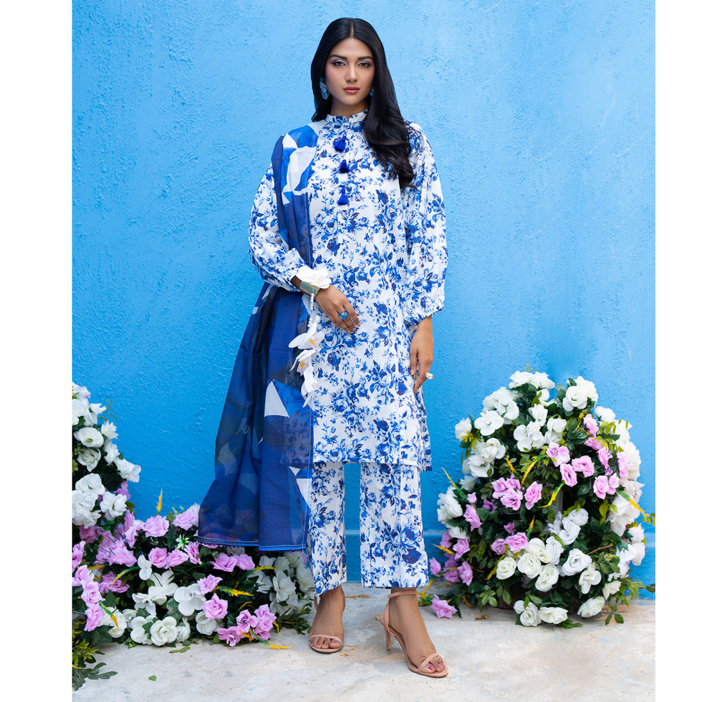 Salina Separates By Regalia Printed Lawn Unstitched 3Pcs Suit V-2 - 10, Women, 3Pcs Shalwar Suit, Regalia Textiles, Chase Value