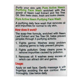 Garnier Skin Active Pure Active Neem Purifying Face Wash, For Normal To Oily Skin, 50ml, Face Washes, Garnier, Chase Value