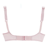 Women's Bra Classis - Pink, Women Bras, IFG, Chase Value