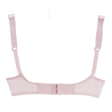 Women's Bra Classis - Pink, Women Bras, IFG, Chase Value