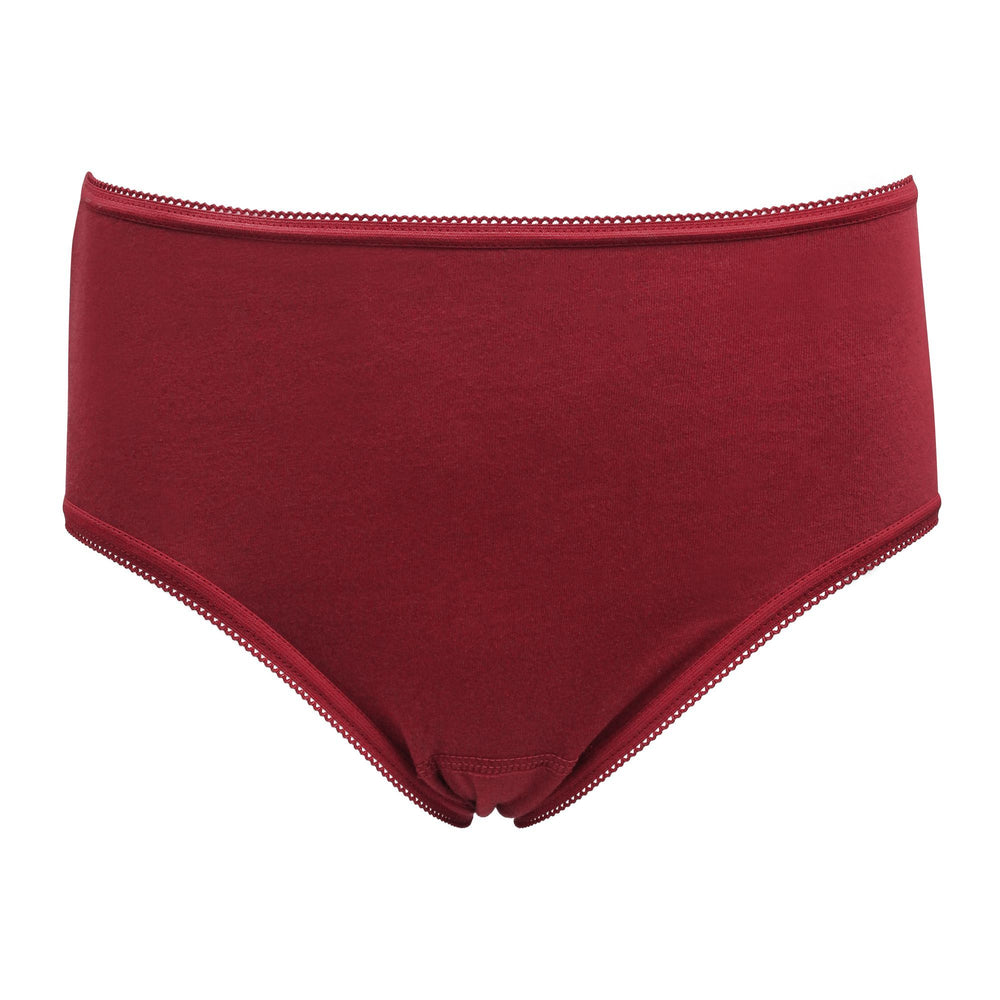 Women's Panty Deluxe Brief - Maroon, Women Panties, IFG, Chase Value