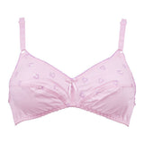 Be-Belle Bra TLP-Hearts - Orchid Pink, Women Bras, Be-Belle, Chase Value