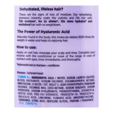 L'Oreal Paris Elvive Hyaluron Moisture 72H Moisture Filling Shampoo, 360ml, Shampoo & Conditioner, Loreal, Chase Value