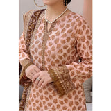 VS-AYESHA ALISHBA Cambric Printed Unstitched 3pcs Suit - 190, Women, 3Pcs Shalwar Suit, VS Textile, Chase Value