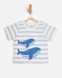 Eminent Newborn Boys' T-Shirt
