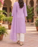 Bin Mujahid Cotton Banarsi Embroidered Suit - 3 Pc, Women, 3Pcs Shalwar Suit, Bin Saeed, Chase Value