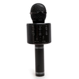 Hand Mic, Musical Toys, Chase Value, Chase Value