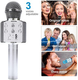 Rechargeable Mic With Echo, Musical Toys, Chase Value, Chase Value