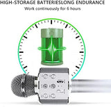 Rechargeable Mic With Echo, Musical Toys, Chase Value, Chase Value