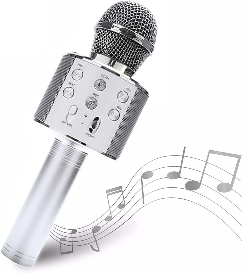 Rechargeable Mic With Echo, Musical Toys, Chase Value, Chase Value
