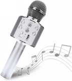 Rechargeable Mic With Echo, Musical Toys, Chase Value, Chase Value