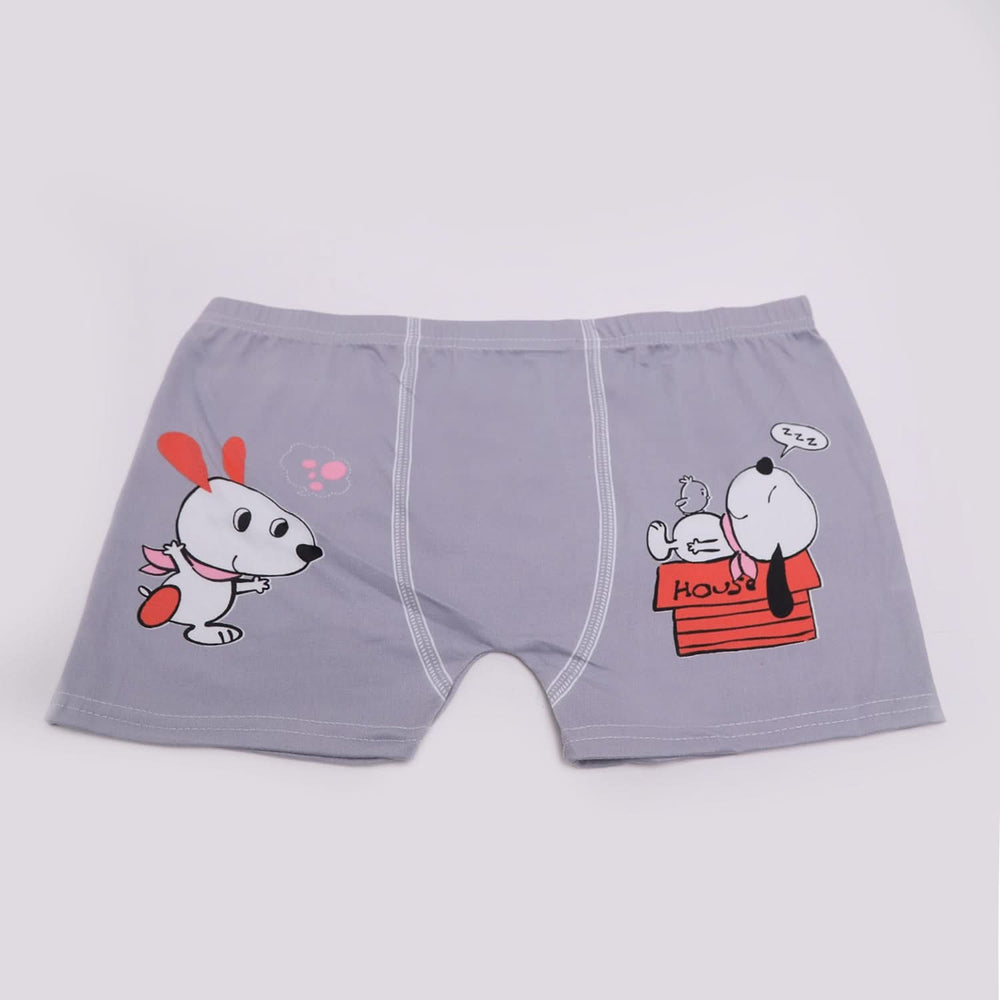 Boys Character Boxer, Boys Underwear, Chase Value, Chase Value