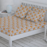 Percale Finish Fitted Sheet with 2 Pillow - Multi Color, Double Size Bed Sheet, Chase Value, Chase Value