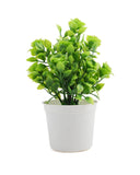 Decorative Flower Pot, Decoration, Chase Value, Chase Value