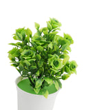 Decorative Flower Pot, Decoration, Chase Value, Chase Value