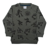 Boys Full Sleeves SweatShirt - Steel Green, Boys Hoodies & Sweat Shirts, Chase Value, Chase Value