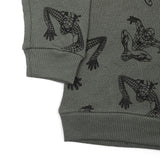 Boys Full Sleeves SweatShirt - Steel Green, Boys Hoodies & Sweat Shirts, Chase Value, Chase Value