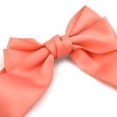 Hair Clip Long Strip, Girls Hair Accessories, Chase Value, Chase Value