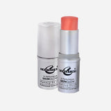 Christine Skin Glow Makeup Paint Stick - Shade 11 Coral Pink, Highlighter, Christine, Chase Value