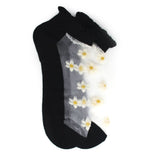 Women's Ankle Socks - Black, Women Socks Stocking & Gloves, Chase Value, Chase Value