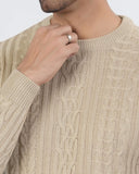 Eminent Men's Round Neck Full Sleeves Sweater, Men's Sweater & Sweat Shirts, Eminent, Chase Value