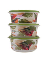 Belli Plastic Storage Box- 3 Pcs