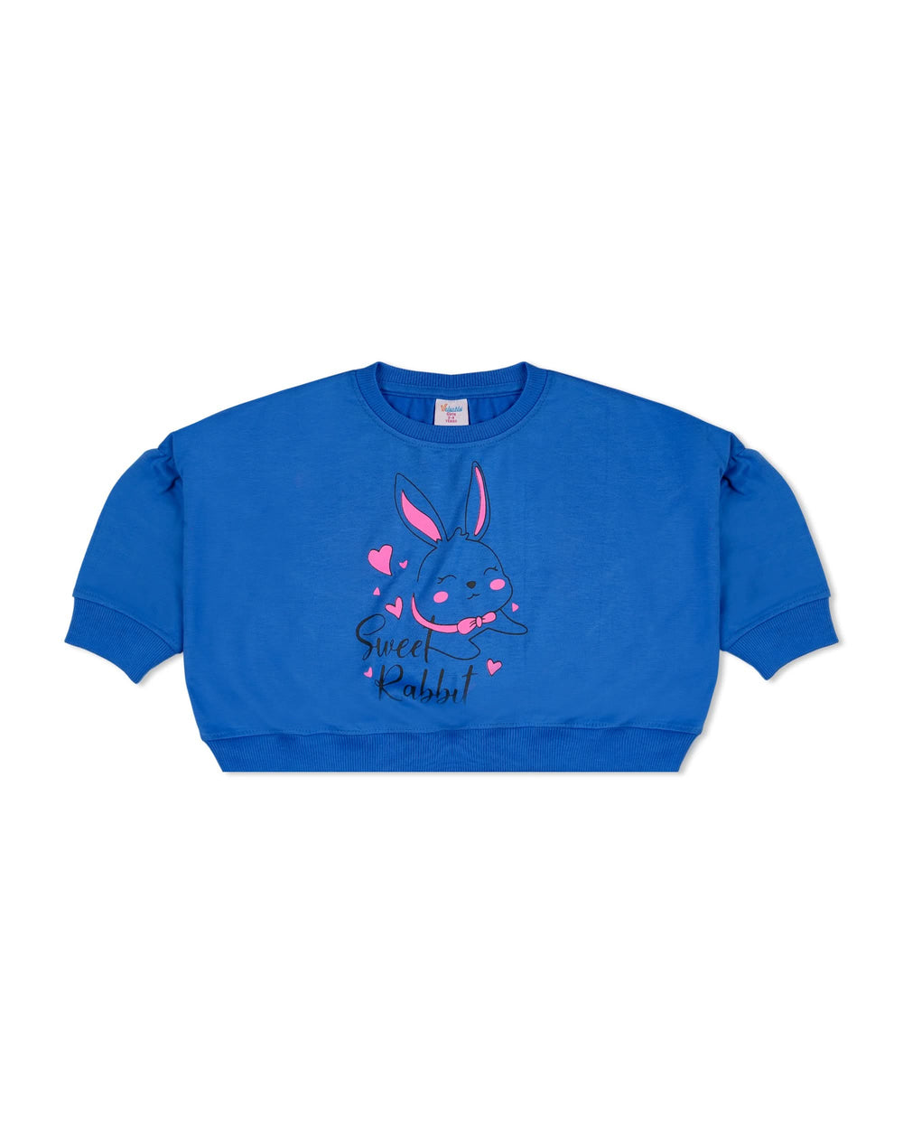 Valuables Girl’s Sweatshirt, Girls Hoodies & Sweat Shirts, Chase Value, Chase Value
