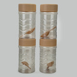 Safari Fresh Kitchen Jar Set 4Pc 400ml - Fawn, Water Bottle, Safari, Chase Value