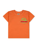 Valuables Boys Half Sleeves T-Shirt, Boys T-Shirts, Chase Value, Chase Value