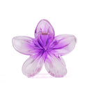 Women's Hair Catcher