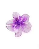 Women's Hair Catcher