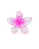 Women's Hair Catcher