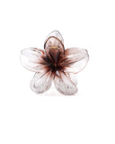 Women's Hair Catcher