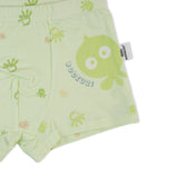Boys Boxer - Light Green, Boys Underwear, Chase Value, Chase Value