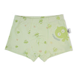 Boys Boxer - Light Green, Boys Underwear, Chase Value, Chase Value