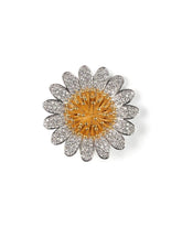 Eminent Women's Hair Brooch