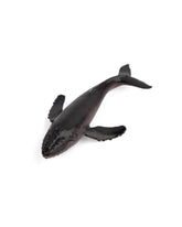 Ocean Animal Vinyl PVC - Black, Animal Toys, Chase Value, Chase Value