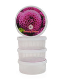 Sweety Storage Box – 4 Pcs, Tiffin Boxes & Bottles, Chase Value, Chase Value
