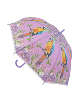 Classic Rain Umbrella, Umbrellas, Chase Value, Chase Value