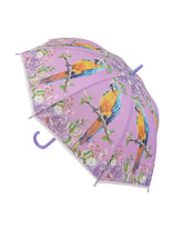 Classic Rain Umbrella, Umbrellas, Chase Value, Chase Value