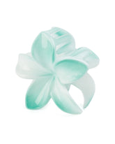 Women's Hair Catcher