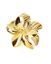 Women's Hair Catcher