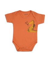 Valuables Newborn Boys Romper, Newborn Boys Rompers, Chase Value, Chase Value