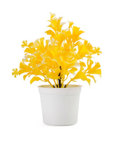 Flower Pot
