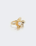 Women’s Ring, Women Finger Rings, Eminent, Chase Value