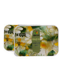 Storage Box Set - 2 Pcs