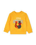 Eminent Newborn Boys Sweatshirt, Newborn Boys Hoodies & Sweatshirts, Eminent, Chase Value
