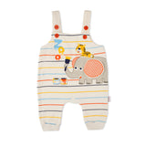 Newborn Boys Full Sleeves Romper, Newborn Boys Rompers, Chase Value, Chase Value