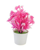 Flower Pot, Decoration, Chase Value, Chase Value