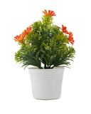 Flower Pot, Decoration, Chase Value, Chase Value